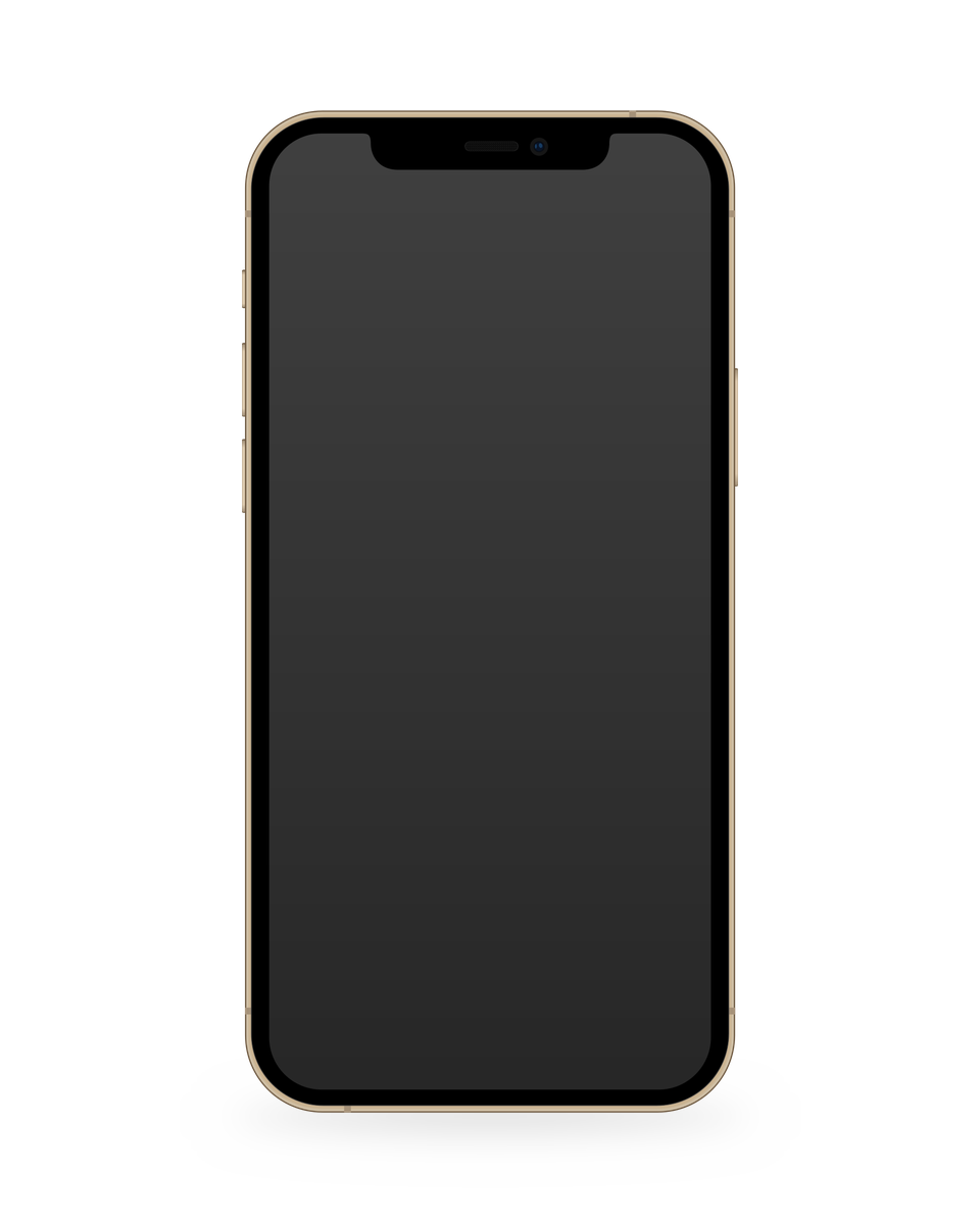 Apple iPhone 12 Pro